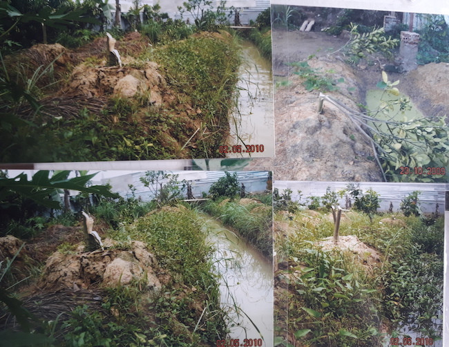 Hai ông lão 80 tuổi chống tham nhũng và niềm tin sắt đá vào công lý ảnh 3