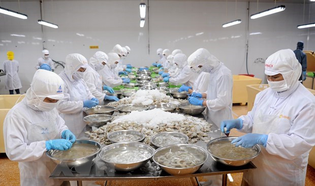 Ngành nông nghiệp vượt 'bão' COVID, đạt 8 thành tựu nổi bật năm 2021 ảnh 1