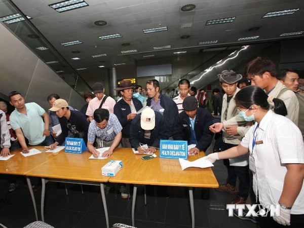 Không đưa lao động sang các vùng có khả năng lây dịch Ebola ảnh 1