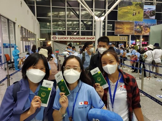 Các ứng viên điều dưỡng, hộ lý lên đường sang Nhật Bản làm việc. (Ảnh: PV/Vietnam+) Nhật Bản 'mở cửa' tiếp nhận lại lao động Việt Nam từ ngày 8/11 ảnh 1