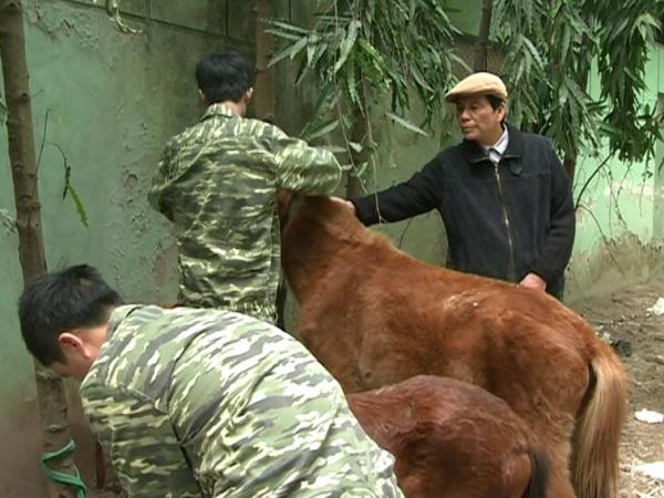 Người thầy dành cả đời cho những màn xiếc ngựa ảnh 2