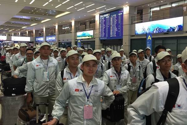 44 quận, huyện bị tạm dừng tuyển chọn lao động đi làm việc ở Hàn Quốc ảnh 1