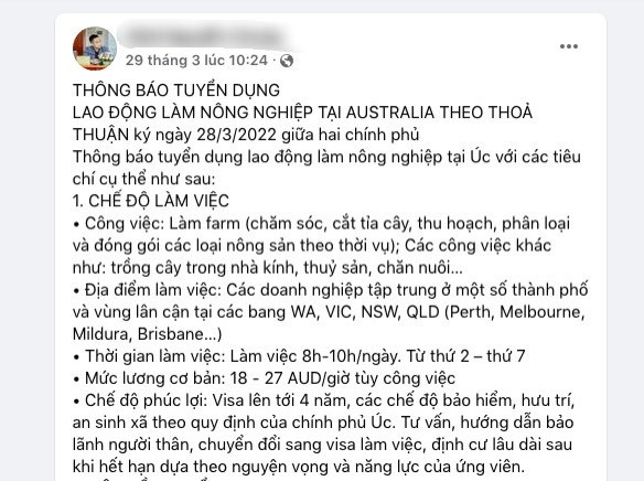 Ngăn chặn việc lừa đảo về Chương trình lao động nông nghiệp Australia ảnh 1