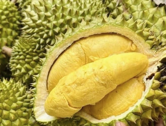 Đẩy mạnh xuất khẩu sản phẩm nông sản chủ lực vào 3 thị trường lớn ảnh 2