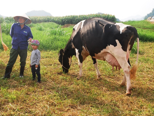 Hành trình luyện thi hoa hậu của những "nàng bò sữa" Mộc Châu ảnh 2