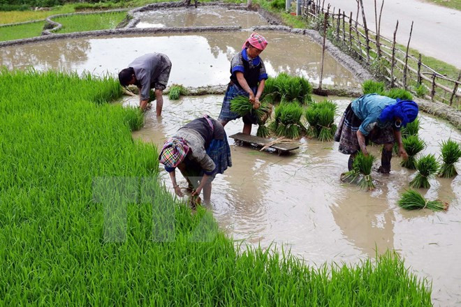 Phụ nữ và trẻ em gái dân tộc thiểu số đang phải chịu bất bình đẳng kép ảnh 2