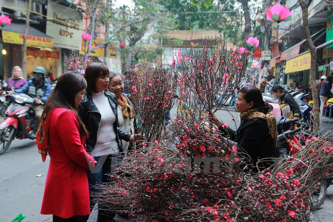 Lịch nghỉ tất cả các dịp lễ Tết trong năm 2017 được trình Chính phủ ảnh 1