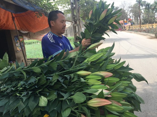 Hà Nội: Hoa ly rục rịch tăng giá trở lại trước ngày Quốc tế Phụ nữ 8/3 ảnh 1