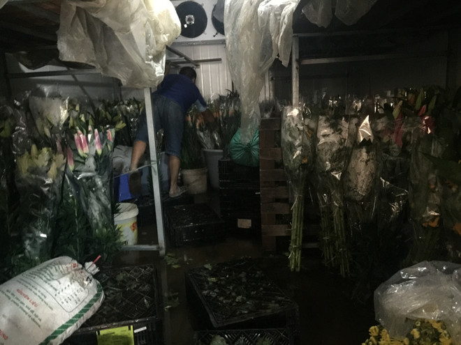 Hà Nội: Hoa ly rục rịch tăng giá trở lại trước ngày Quốc tế Phụ nữ 8/3 ảnh 4