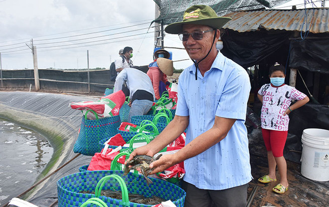 Những nông dân tỷ phú nhờ áp dụng công nghệ cao vào chăn nuôi ảnh 2
