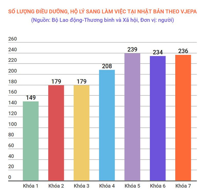Hộ lý, điều dưỡng Việt Nam được đánh giá cao khi làm việc tại Nhật Bản ảnh 1