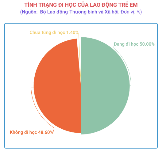 Tỷ lệ lao động trẻ em của Việt Nam thấp hơn 2% mức trung bình khu vực ảnh 3