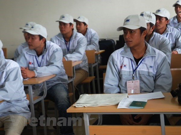 Hàn Quốc gia hạn hợp đồng cho lao động làm thuyền viên tàu cá gần bờ ảnh 1