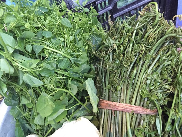 Cuối mùa, 3 loại rau rừng tăng giá "cắt cổ" vẫn hút khách mua ảnh 2