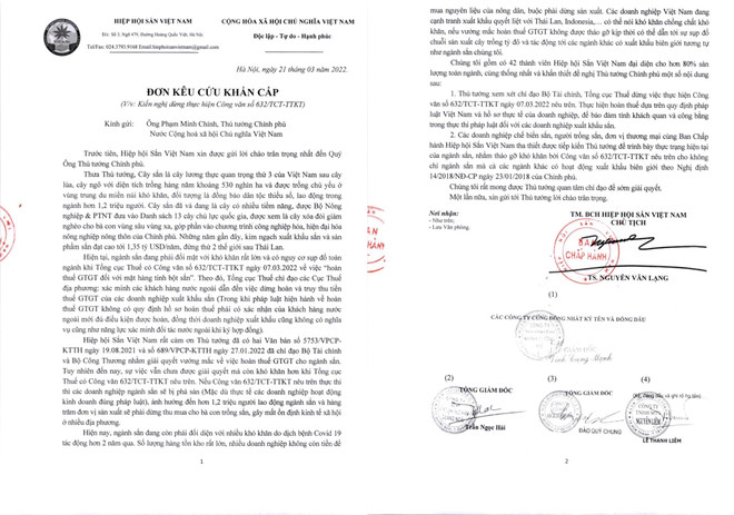 Các doanh nghiệp xuất khẩu sắn kêu cứu vì bị dừng hoàn, truy thu thuế ảnh 1