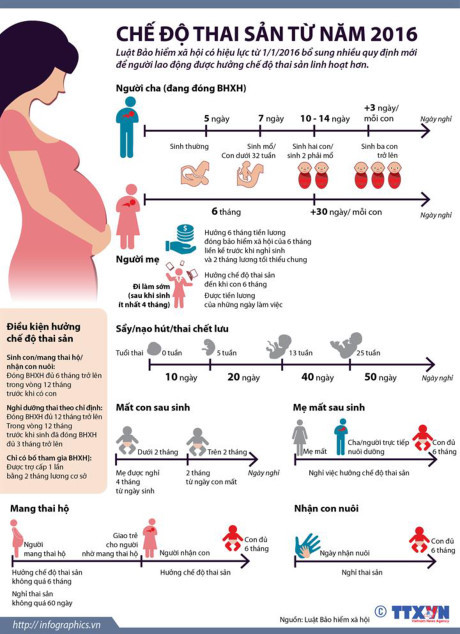 Về đề xuất nghỉ 60 phút cho con bú: Vì lao động hay vì doanh nghiệp? ảnh 3
