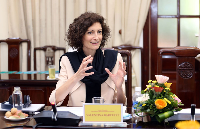 Tiêu chuẩn thống kê mới nêu bật các đặc trưng của thị trường lao động ảnh 1