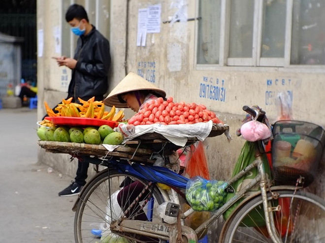 [Photo] Nhót chín đỏ rực "thắp lửa" trên khắp các góc phố Hà Nội ảnh 5