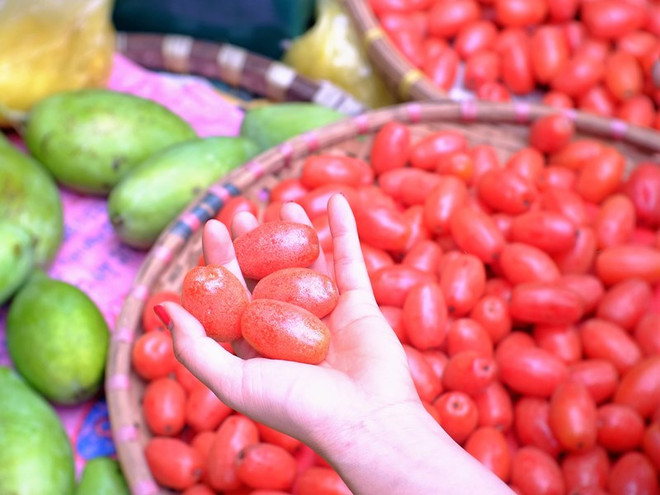 [Photo] Nhót chín đỏ rực "thắp lửa" trên khắp các góc phố Hà Nội ảnh 3