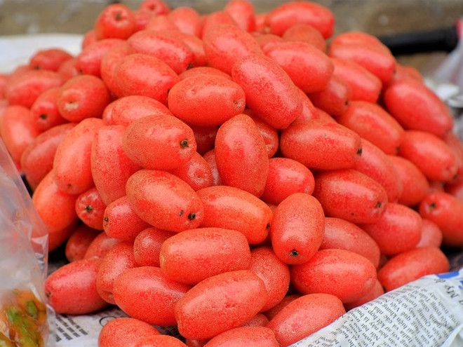 [Photo] Nhót chín đỏ rực "thắp lửa" trên khắp các góc phố Hà Nội ảnh 6