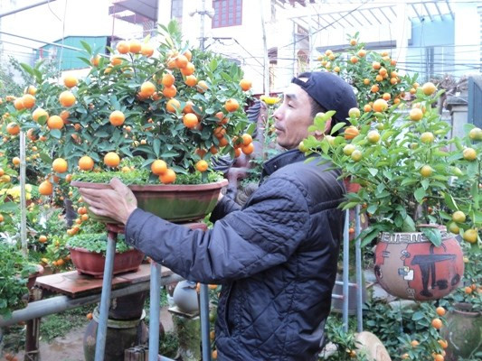 Công chức, viên chức nghỉ Tết Nguyên đán Ất Mùi 2015 mấy ngày? ảnh 1