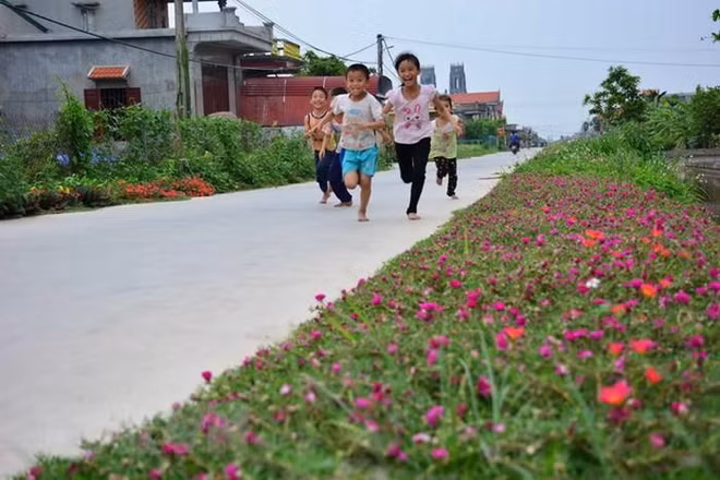 Xây dựng nông thôn mới: Khó khăn khi 'hái quả cành cao' ảnh 1