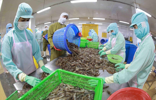 Bộ Nông nghiệp và Phát triển Nông thôn đang tiếp tục xử lý các vấn đề thị trường nhằm tạo điều kiện thuận lợi cho xuất khẩu nông sản, thủy sản. (Ảnh: PV/Vietnam+) Xuất khẩu nông, lâm, thủy sản 9 tháng năm 2023 đạt gần 38,5 tỷ USD ảnh 3