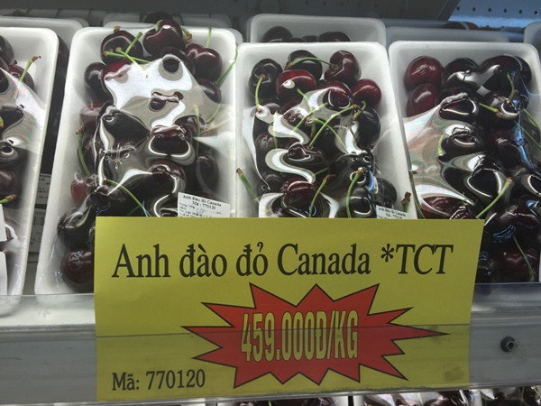 Lần đầu tiên quả anh đào Canada được bán tại siêu thị Việt ảnh 2