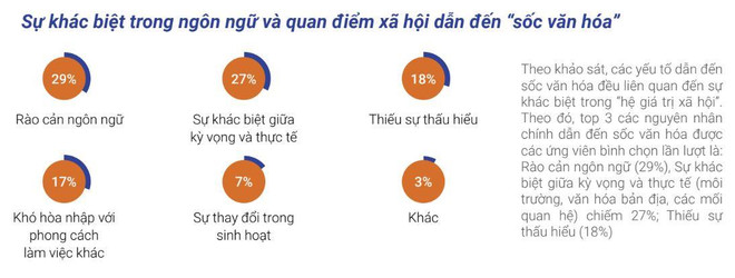 50% ứng viên người nước ngoài bị sốc văn hóa khi đến Việt Nam làm việc ảnh 2