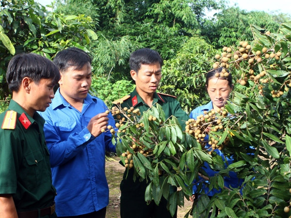 Tuyển 500 cán bộ xã: Khó có khả năng xảy ra tiêu cực ảnh 1