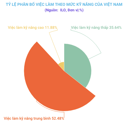 ILO: Chất lượng việc làm đang là một thách thức đối với Việt Nam ảnh 1