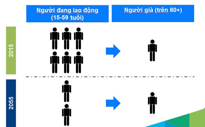 Chuyên gia ILO đề xuất tăng tuổi nghỉ hưu của cả nam và nữ lên 65 ảnh 2