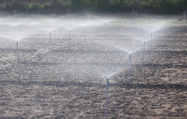 Thu hút đối tác xây dựng nền nông nghiệp bền vững, nông dân tri thức ảnh 1