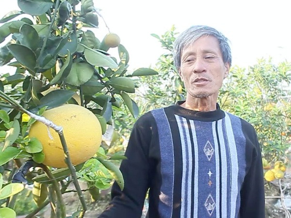 Giá hàng chục triệu đồng, cây ngũ quả chơi Tết vẫn đắt hàng ảnh 4