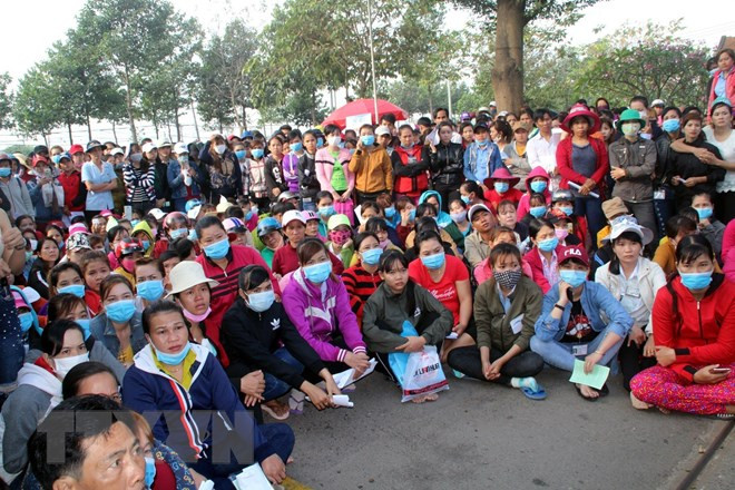 Thiết chế đối thoại kém làm xảy ra hàng trăm cuộc đình công mỗi năm ảnh 1