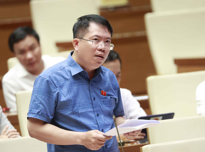 ĐBQH: Phát triển nhà ở xã hội nên điều chỉnh tăng nhà cho thuê ảnh 2