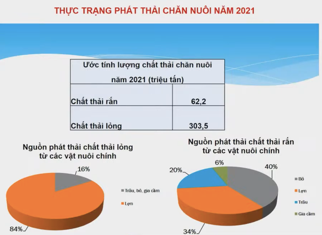 Mô hình kinh tế tuần hoàn: Hướng đi tất yếu của chăn nuôi hiện đại ảnh 3