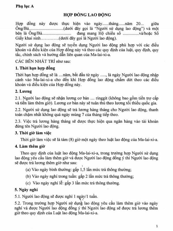 Lao động đến Malaysia, chủ sử dụng phải trực tiếp đón tại sân bay ảnh 2