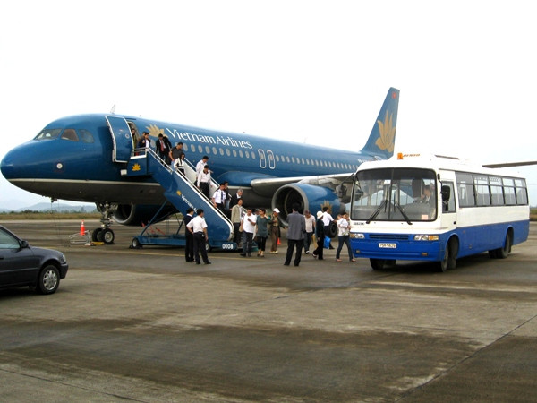 Thứ trưởng Bộ LĐ-TB&XH: "Ngành hàng không không được đình công" ảnh 2