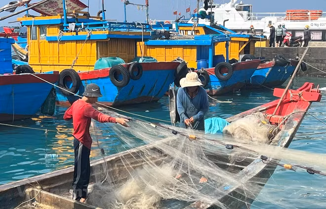 EC khuyến nghị cần xử phạt triệt để các hành vi vi phạm khai thác IUU ảnh 1