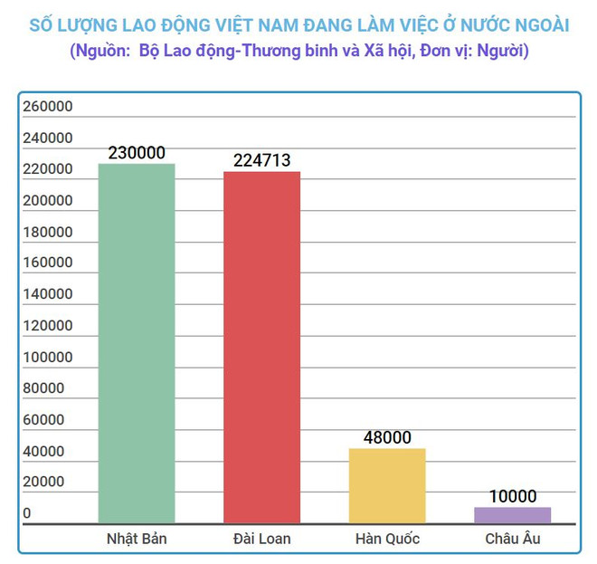 Hơn 560.000 lao động Việt Nam đang làm việc ở nước ngoài ảnh 2