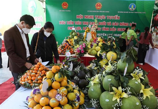 (Ảnh minh hoạ: Danh Lam/TTXVN) Thúc đẩy tiêu thụ nông sản nội địa vì khó khăn xuất khẩu còn kéo dài ảnh 1