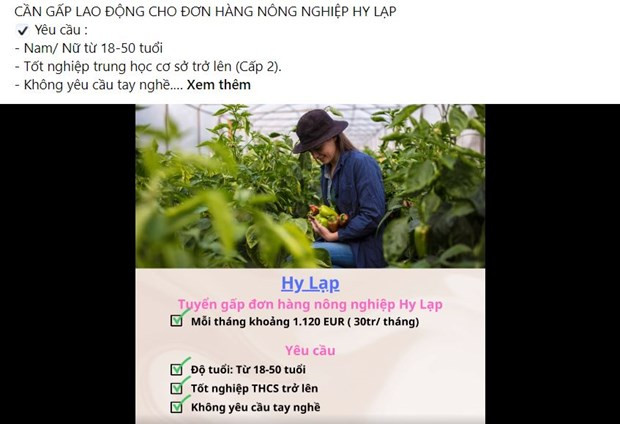 Thêm 3 công ty được chuẩn bị nguồn lao động đi làm việc tại Hy Lạp ảnh 2