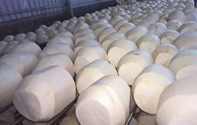 Nông sản Việt xuất ngoại: Quan hệ thương mại bền vững dựa trên chữ tín ảnh 2