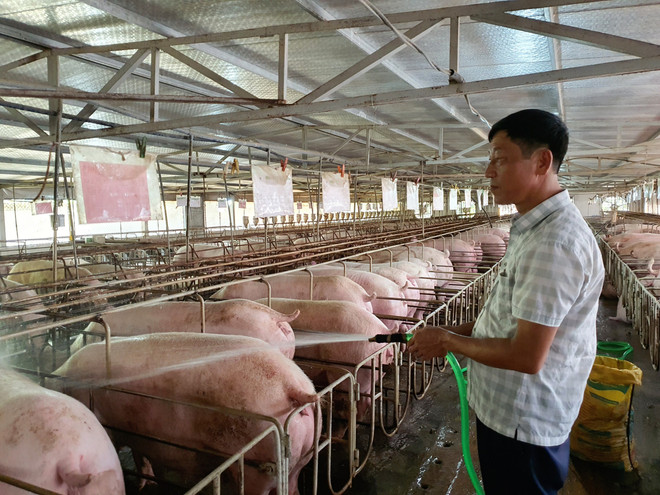 Xuất siêu nông, lâm, thủy sản trong 10 tháng đạt 9,3 tỷ USD ảnh 3