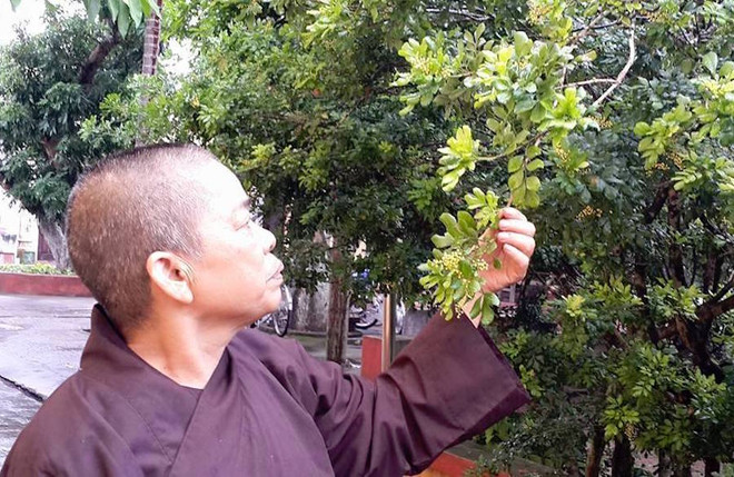 Hành trình chia sẻ yêu thương với cựu nữ thanh niên xung phong đơn côi ảnh 2