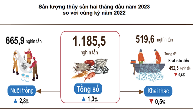 Nuôi trồng, khai thác thuỷ sản tháng Hai tăng nhờ thời tiết thuận lợi ảnh 1