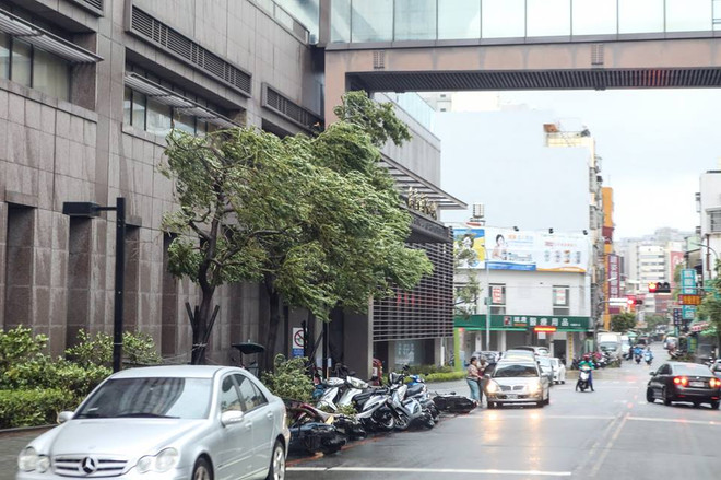[Photo] Bão Megi đổ bộ vào Đài Loan làm hơn 30 người bị thương ảnh 2