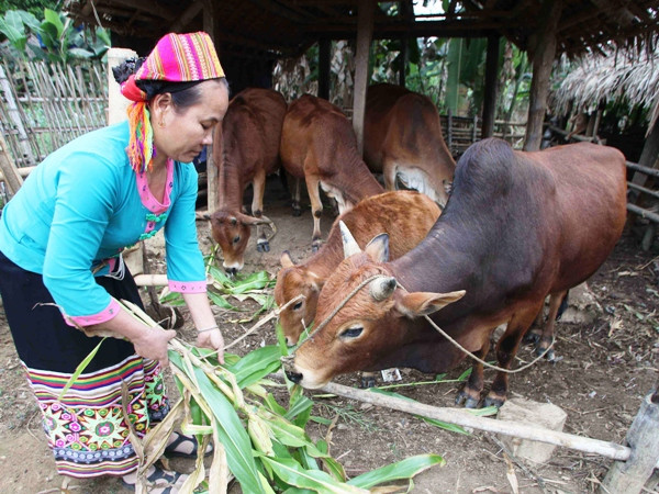 Chương trình giảm nghèo: Cần rót vốn đúng đối tượng và nhu cầu ảnh 1