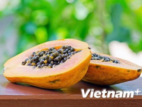Đu đủ có tác dụng thanh nhiệt, bổ tỳ. (Ảnh: PV/Vietnam+) 5 loại hoa quả giải nhiệt tốt nhất cho những ngày hè ảnh 5